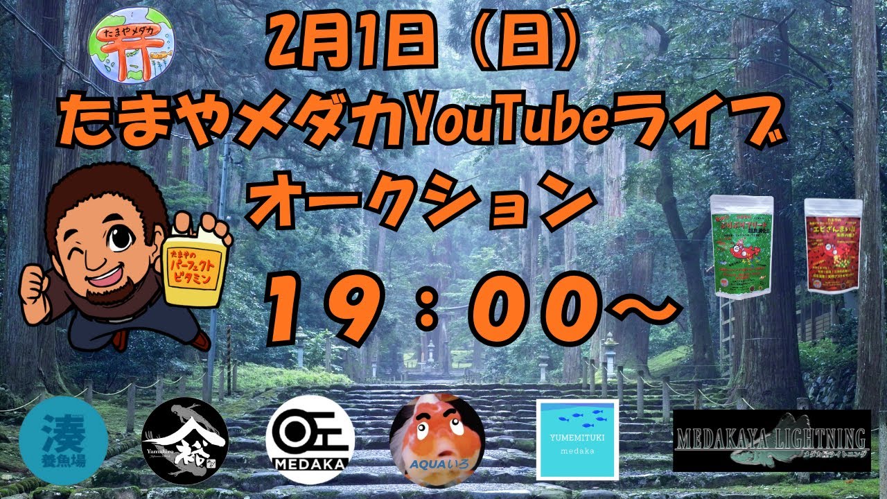 2月1日（日）　ライブオークション