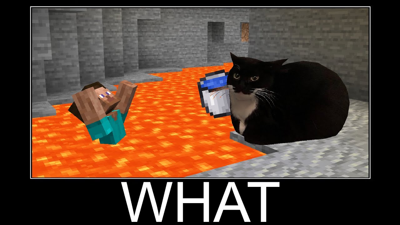 Maxwell the Cat in Minecraft wait what meme part 160