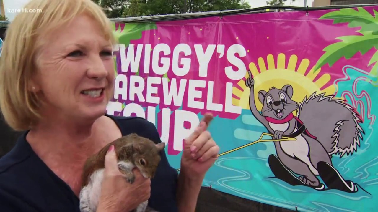 Land of 10,000 Stories: Twiggy the water-skiing squirrel retires after Mpls. show