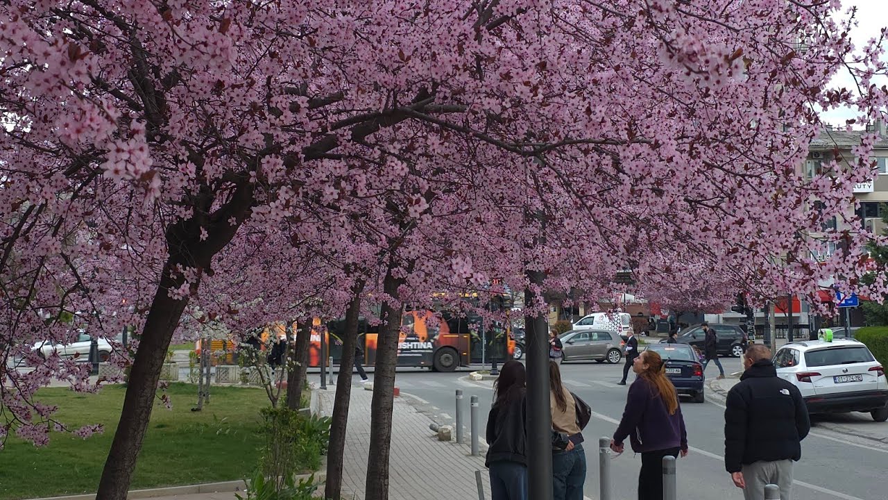 Prishtina/Kosovo March 2026  - Montage 