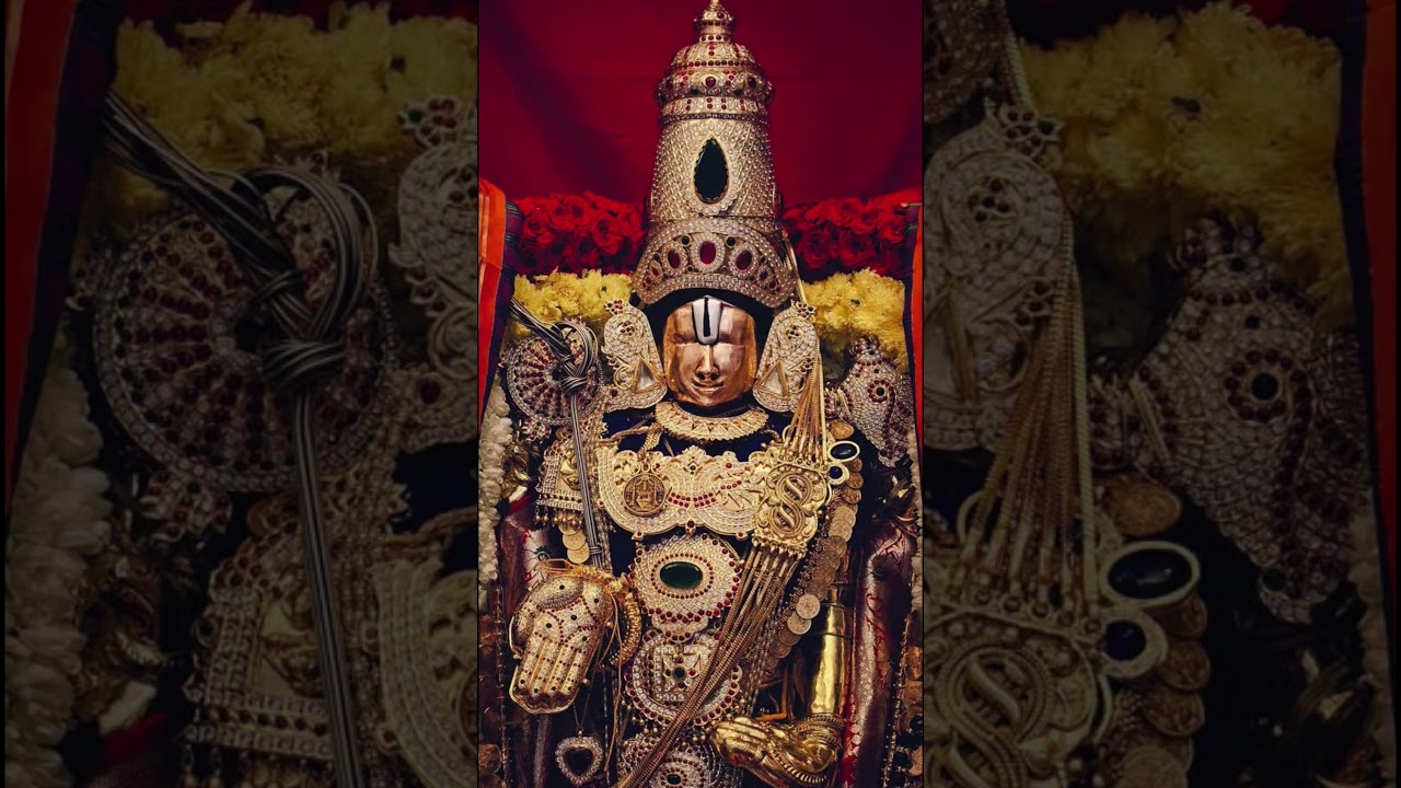 updates Today in tirumala #tirumala #govinda