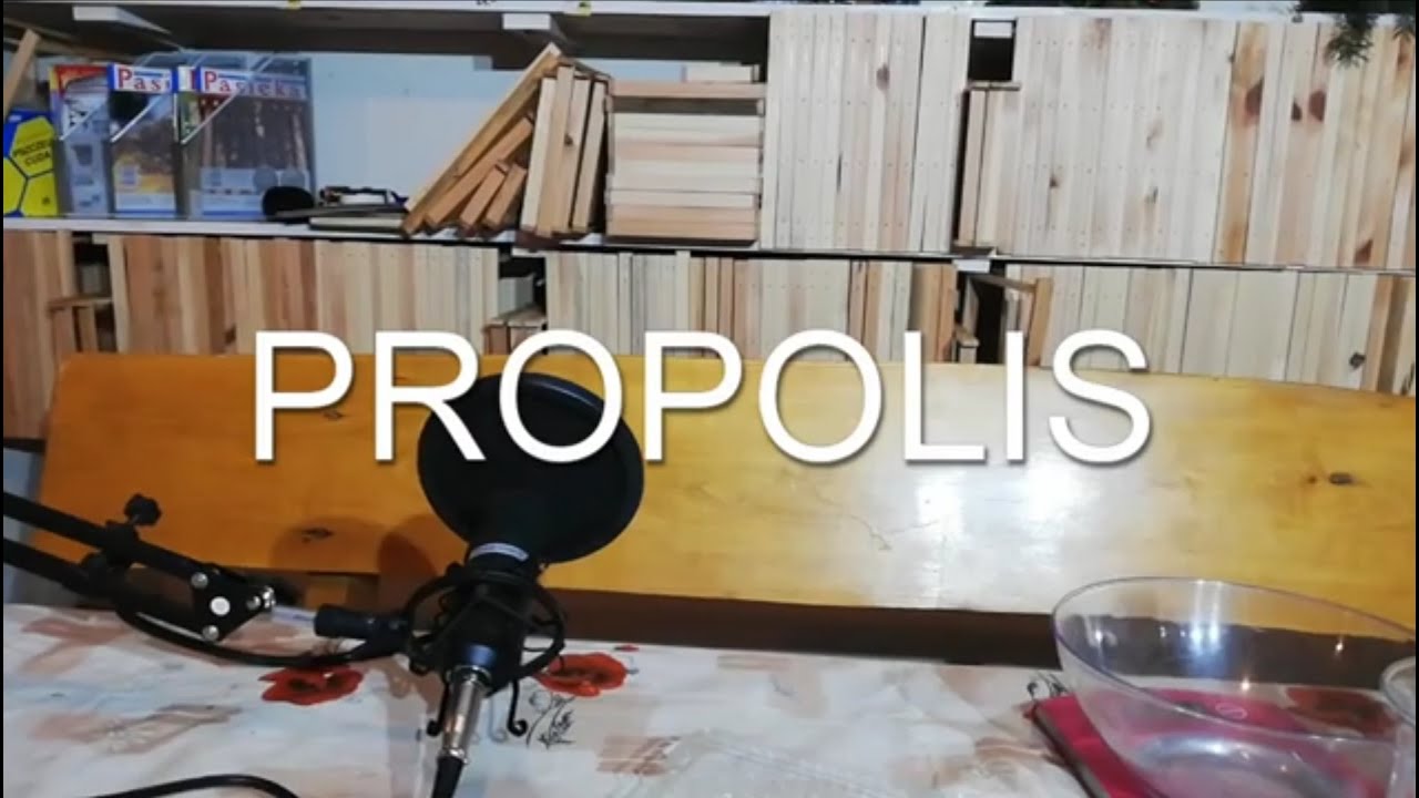 PROPOLIS zrób sam(a) - błąd w filmiku. Dawkowanie 4mg na dobę na każdy kg masy ciała!!!!,!