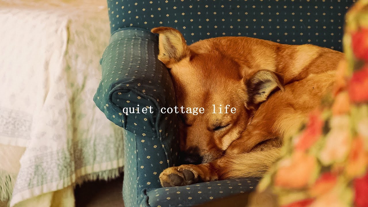 A cozy, lazy afternoon at the cottage- hardships and gratitude