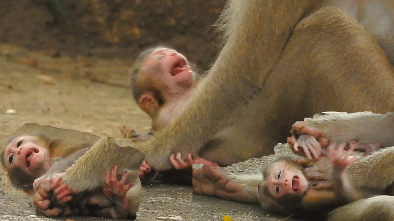 Oh ho! Sarika mother teaches strong baby not to need her help