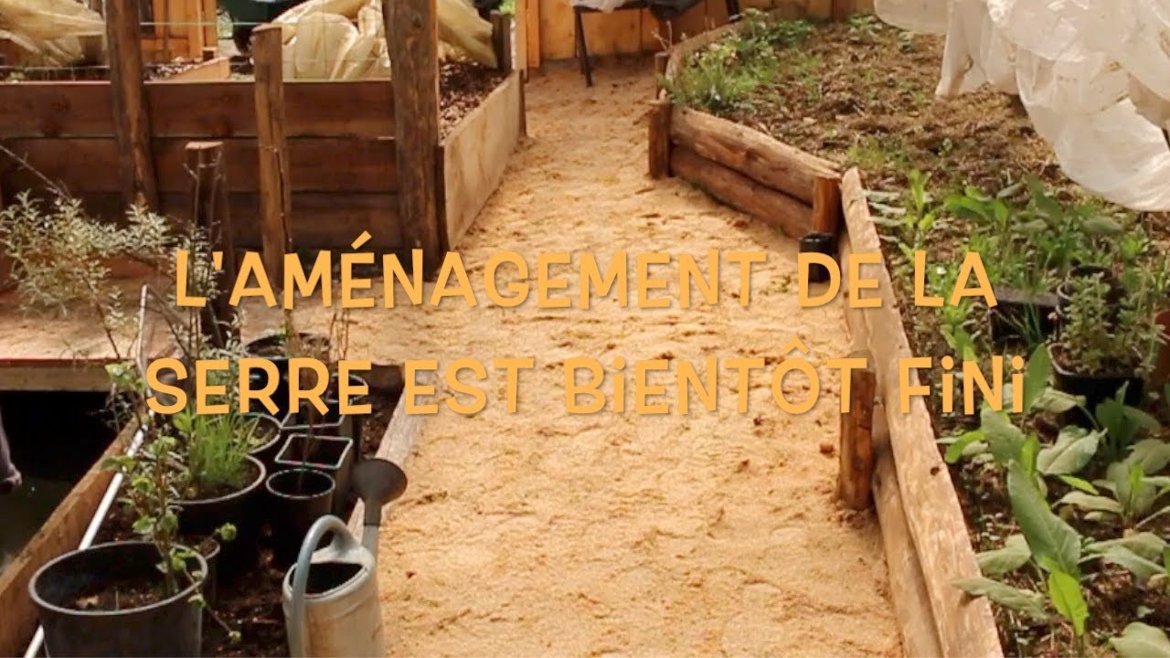 🦋 L'aménagement de la serre est presque fini !