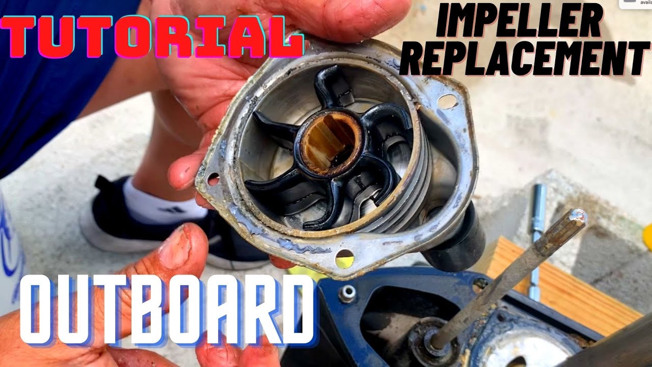 How to Replace an Outboard Motor Impeller on a Mercury Four Stroke #tutorial