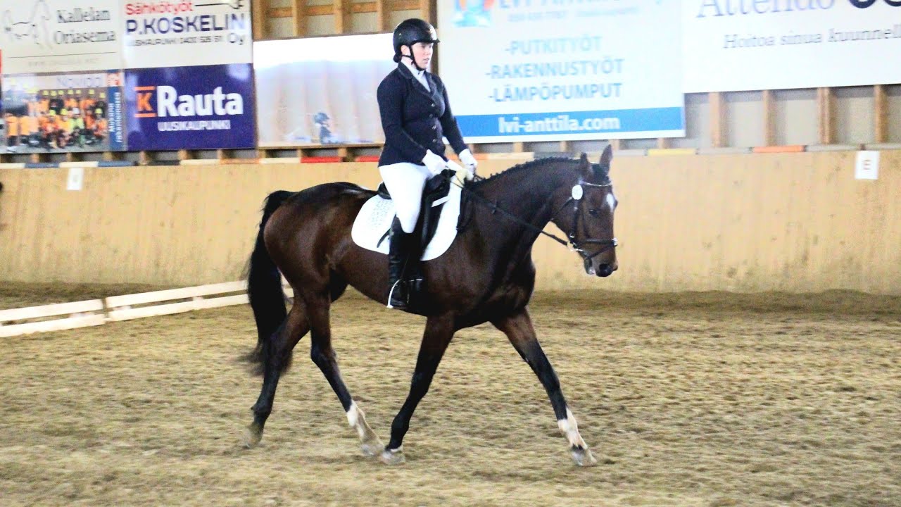 Helppo B:1 2022 Audie Alexus 5.10.2025