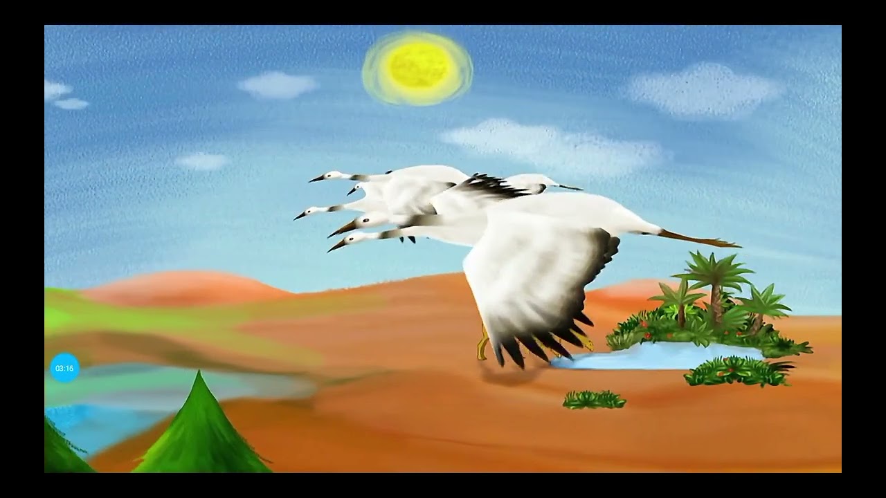 BabyTV LooK Around You Birds Episode 11 Hebrew Audio 