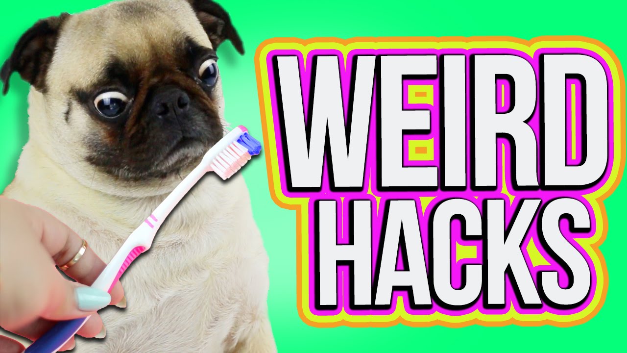 5 Life Hacks You Need To Know!