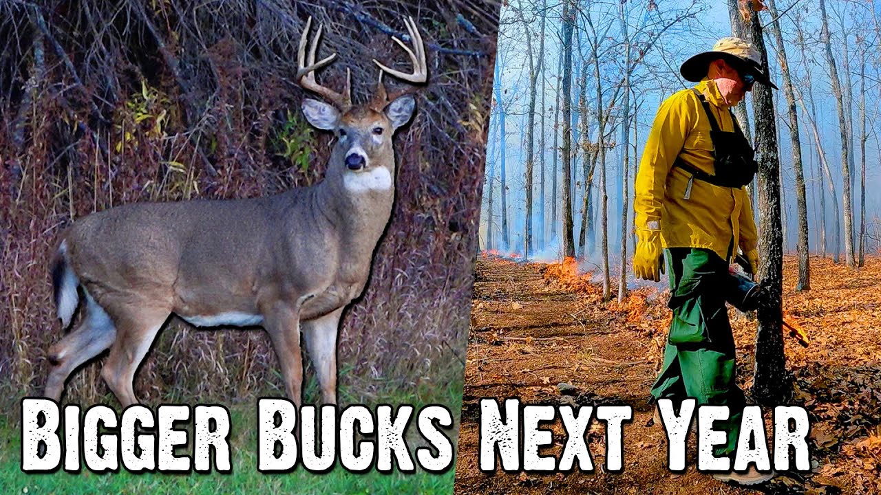 Deer Season's Over.. Here's How to Get Bigger Bucks Next Year! (853)
