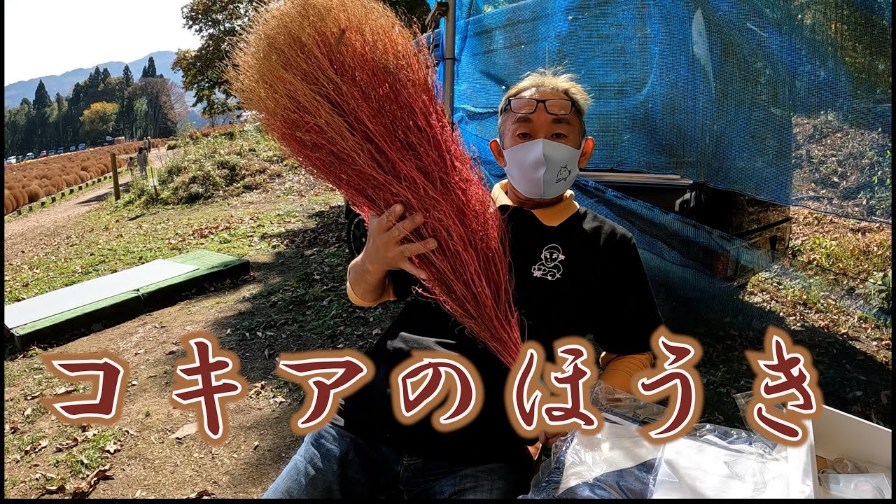 コキアでほうき作ってみた　伊賀野の花畑