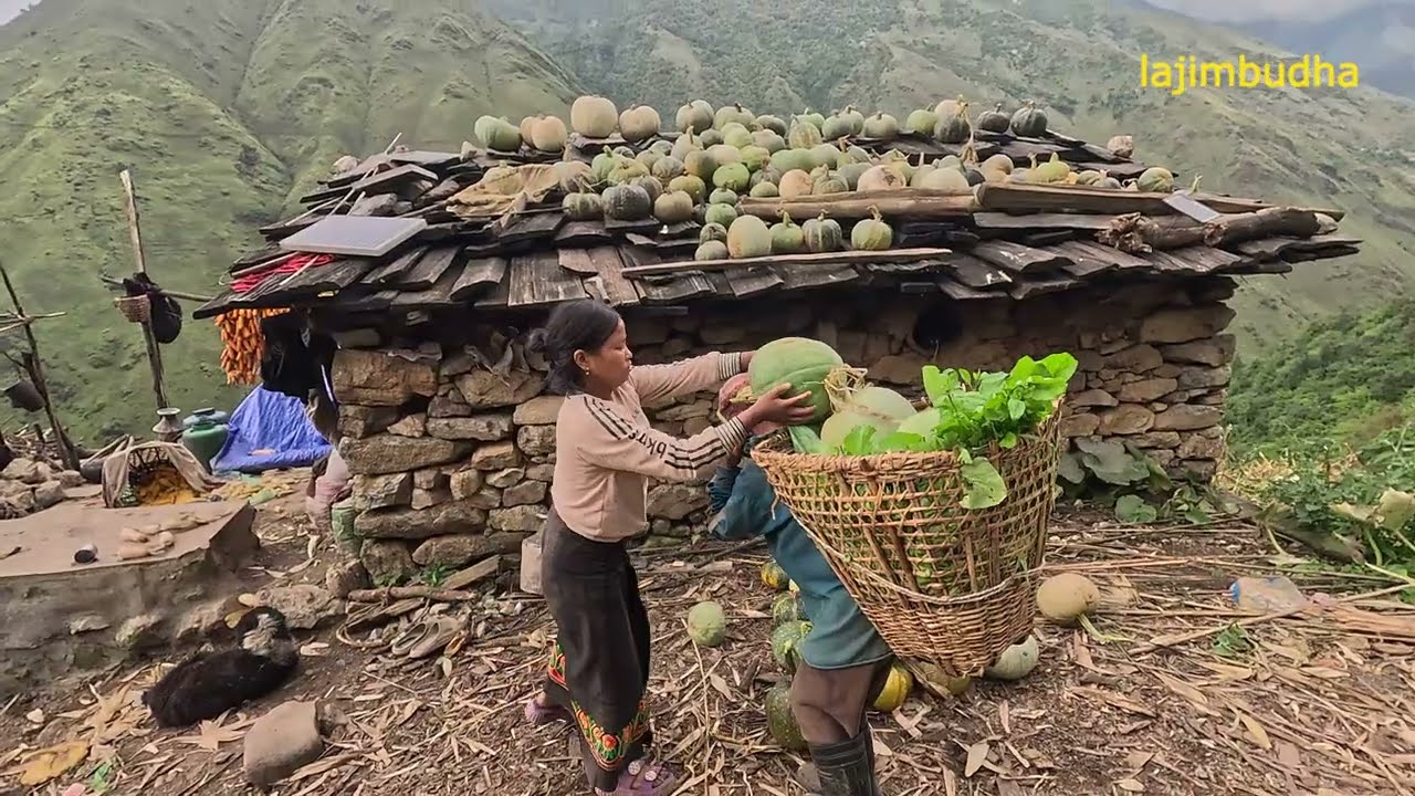 mountain lifestyle || lajimbudha ||