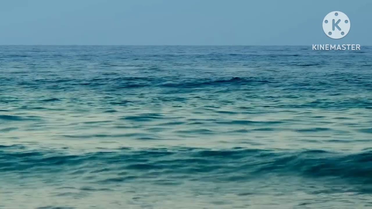 BARI TERRA MIA