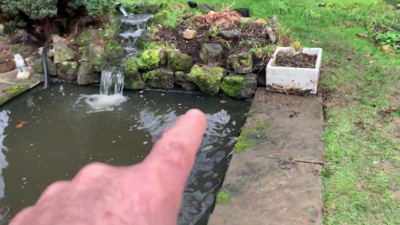 Pond clean & reline in Chelmsford Essex 