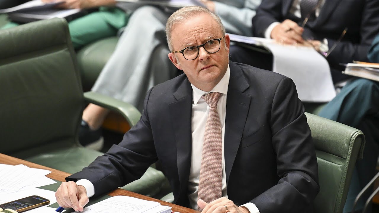 ‘Why can he not condemn her?’: Albanese ‘dodges’ Grace Tame question following vile chant