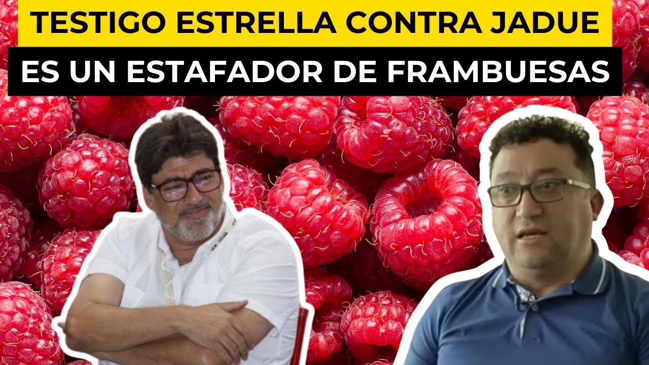 ESTAFADOR DE FRAMBUESAS: EL ABSURDO TESTIGO CLAVE DE LA FISCALÍA EN EL CASO CONTRA DANIEL JADUE
