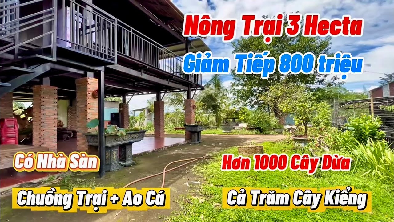 Nông Trại nghỉ dưỡng VƯỜN - AO - CHUỒNG quy mô bài bản. Tặng nhà sàn. 3ha 200tc. Chỉ 4 tỉ.