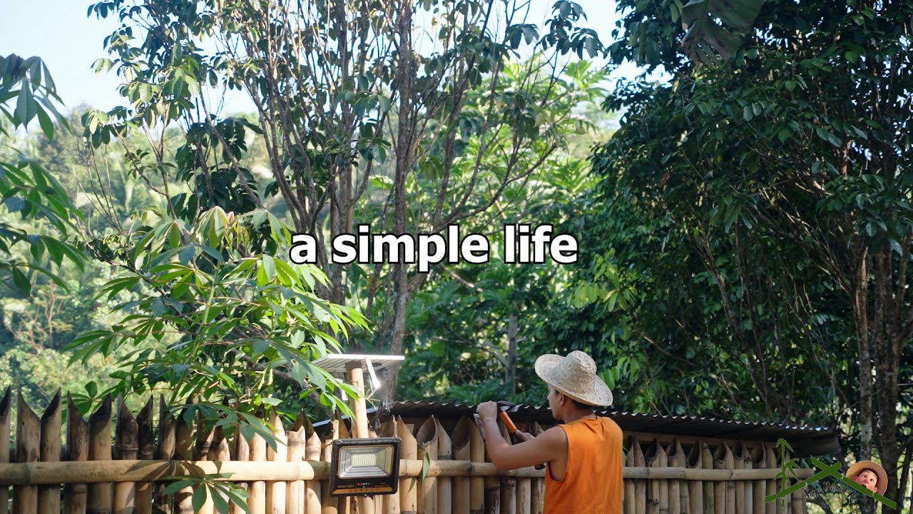 Life in the Mountains | Building a Budget Chicken Coop
