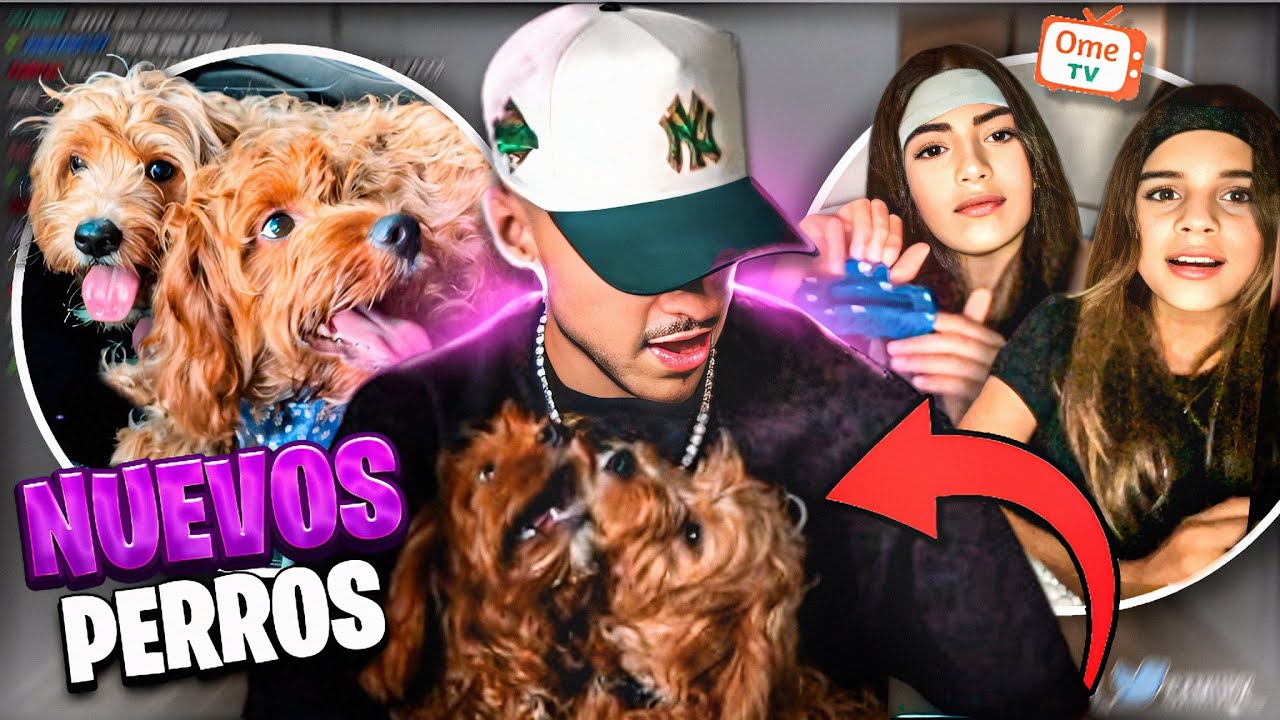 APLICANDO NUEVA TÉCNICA DE CONQUISTA CON MIS NUEVOS PERROS EN OME TV 😍*creció la familia * | Samulx