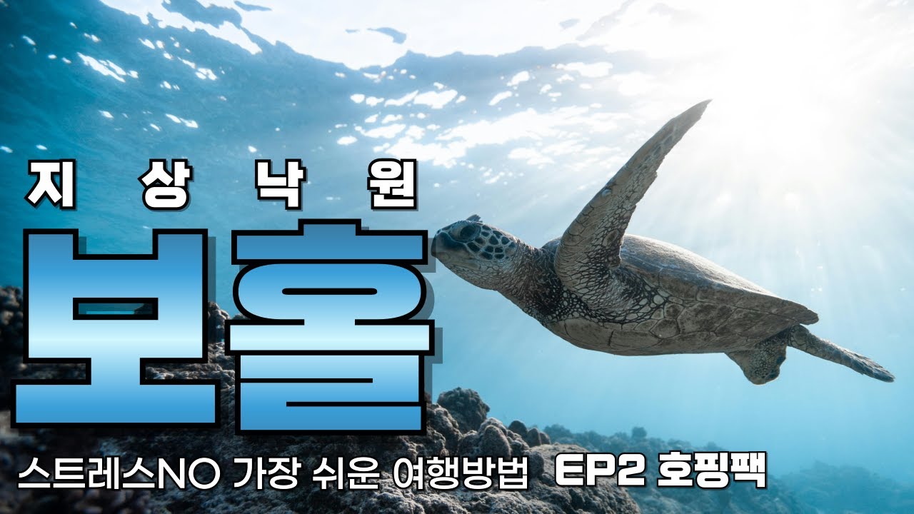 보홀 EP2  보홀여행 단독 패키지 세친구투어 완벽 가이드 리조트 맛집 데이투어 호핑팩 하는법 보홀여행