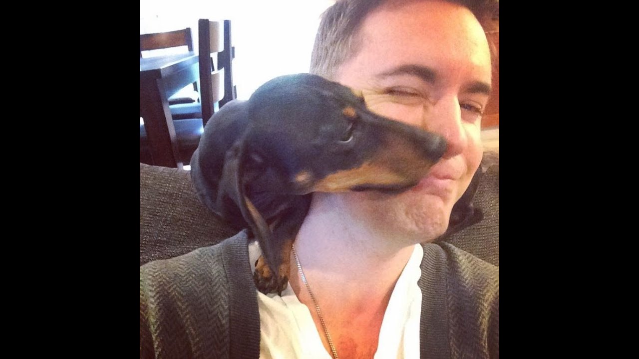 (VoicePlay) VP's Fur Babies!