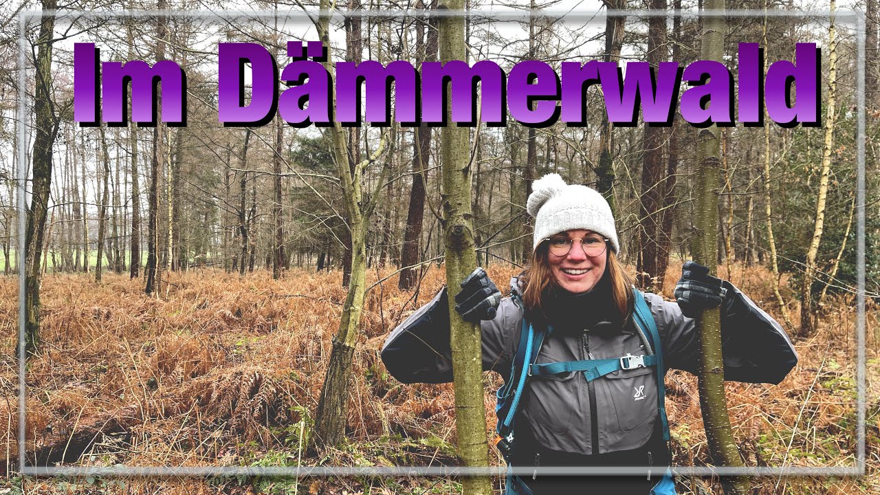 Der D&auml;mmerwald