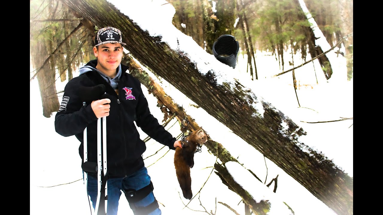 Minnesota Marten Trapping 2019