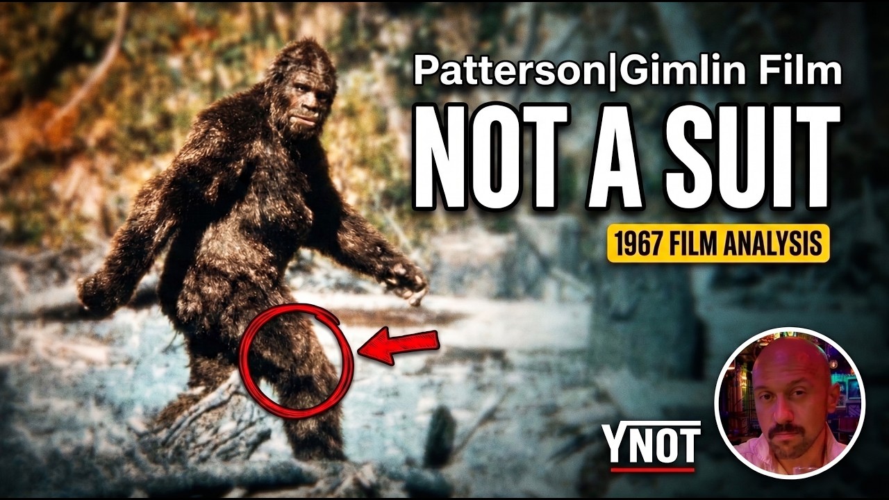 The 1967 Film That Still Doesn’t Make Sense - Patty