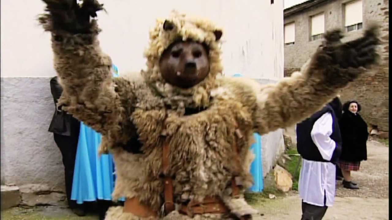 SALCEDO BEAR - OSO DE SALCEDO