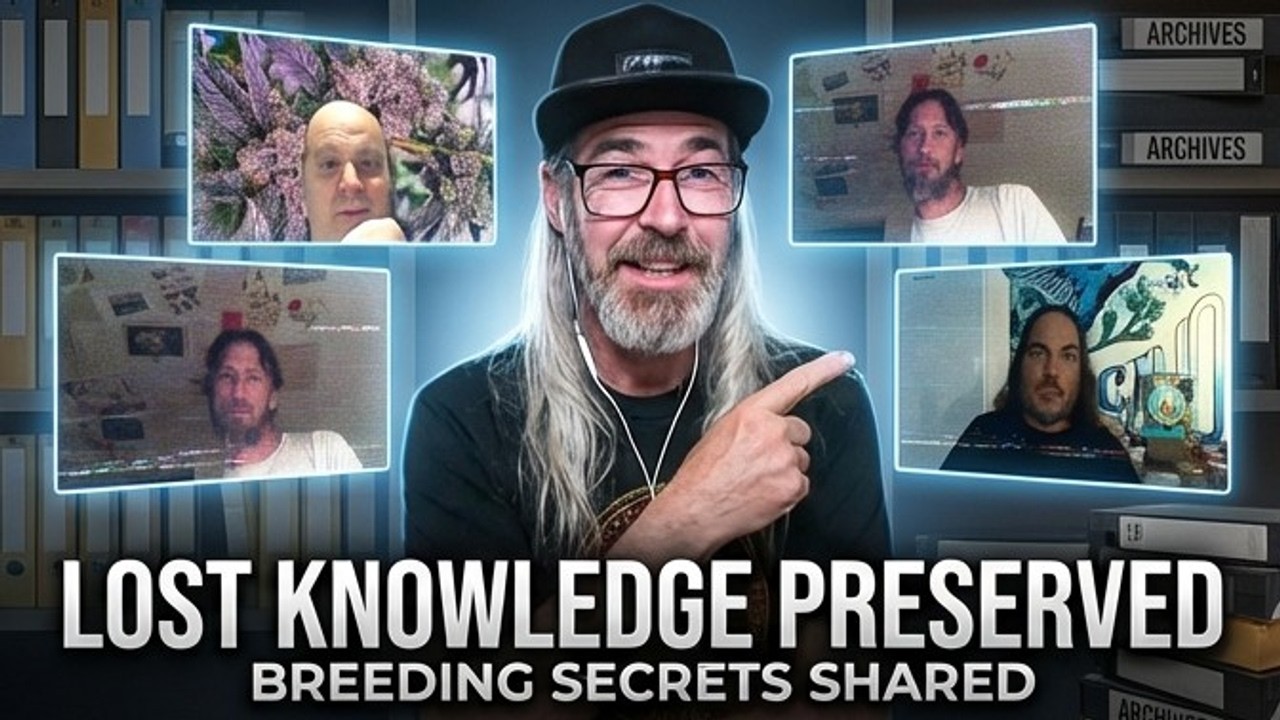 Breeding Discussion ft. Ryan Lee, SunGrownMidz, & Mean Gene w/ Chad Westport : Spider Farmer GGS Pro