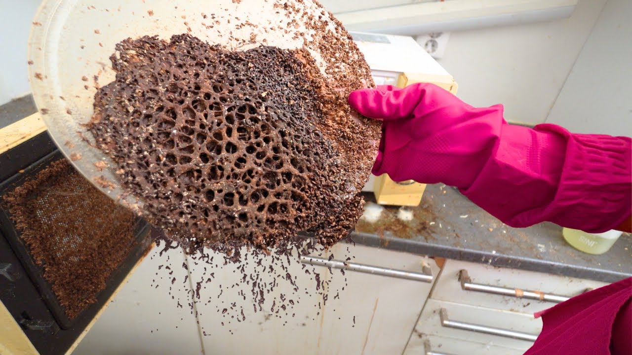 ROTTING KITCHEN NIGHTMARE 😱 - EXTREME CLEANING FOR FREE!!