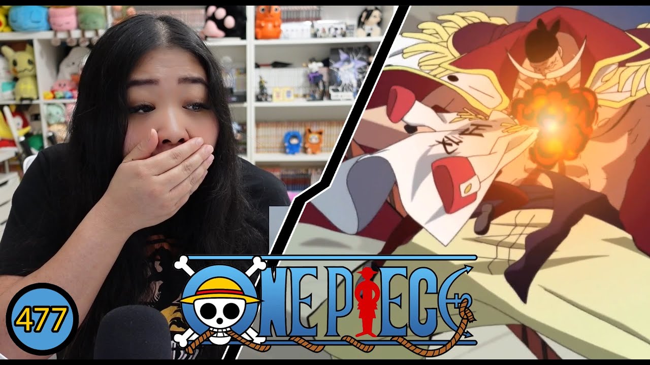 AKAINU VS WHITEBEARD! | One Piece Ep 477 Reaction