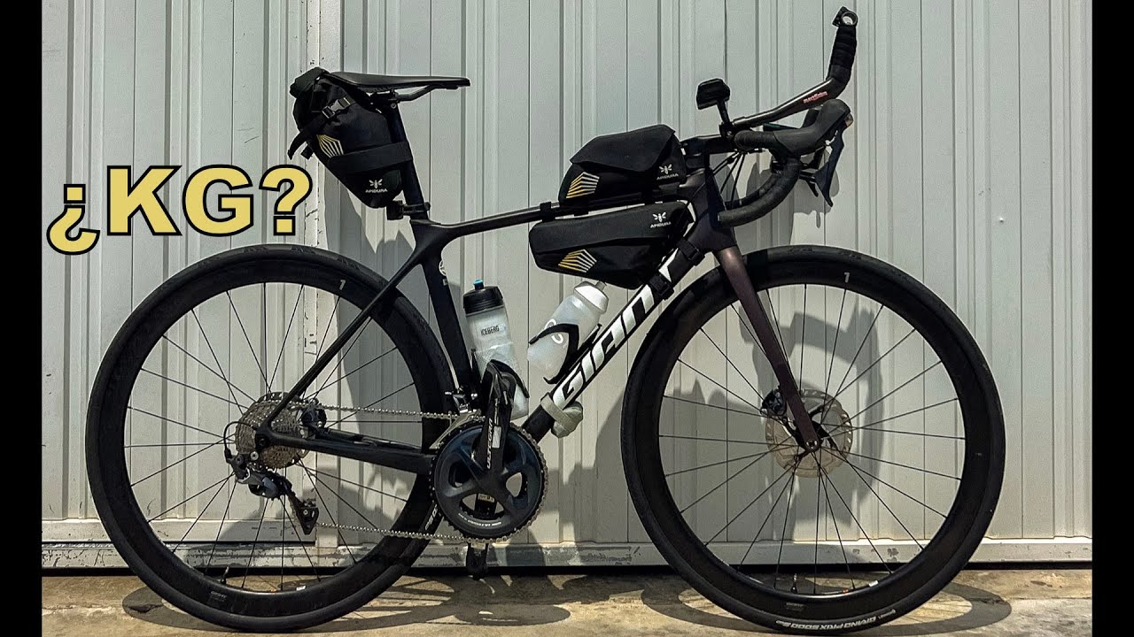 PEDALMA 2/3