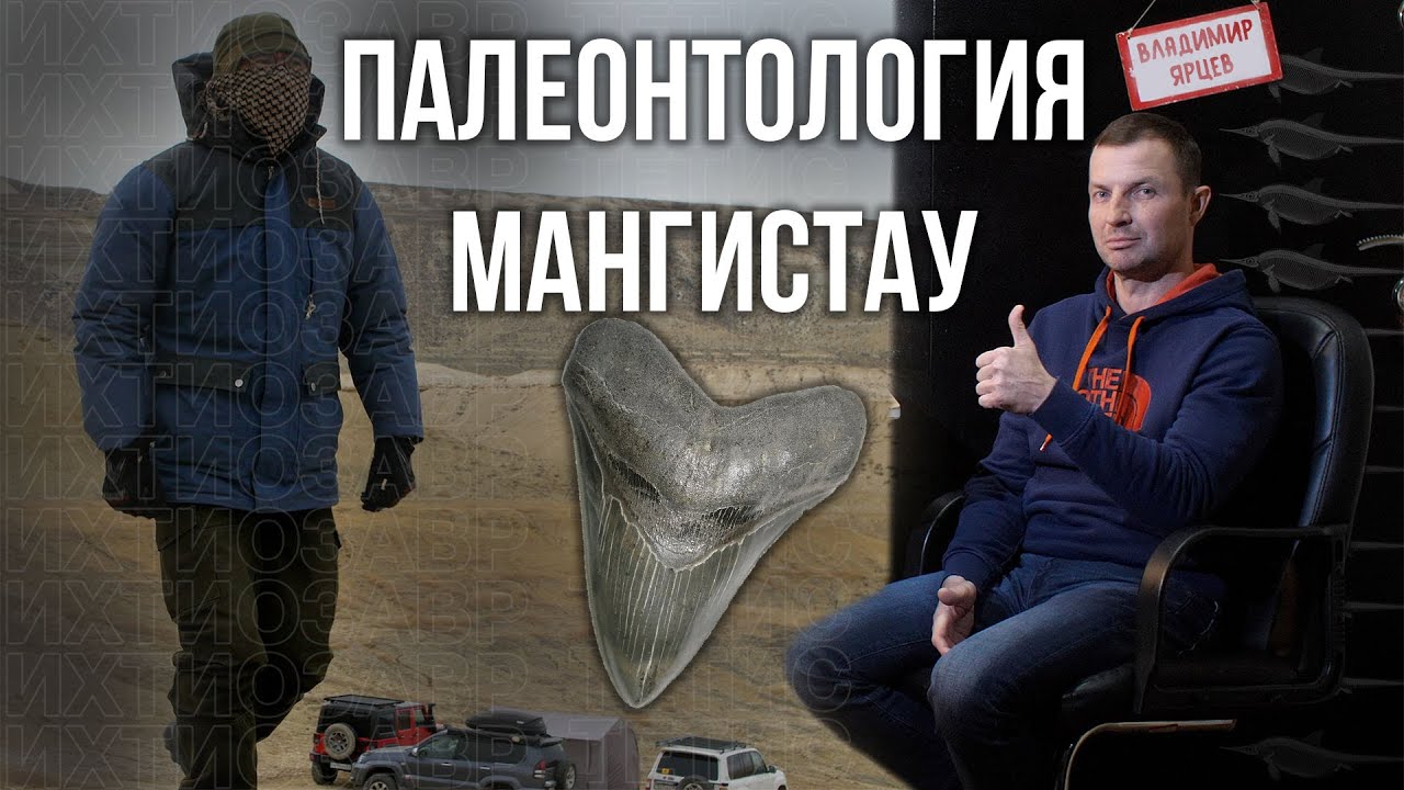 Радиация? Кто обитал в Мангистау миллионы лет назад? Интервью с Владимиром Ярцевым.