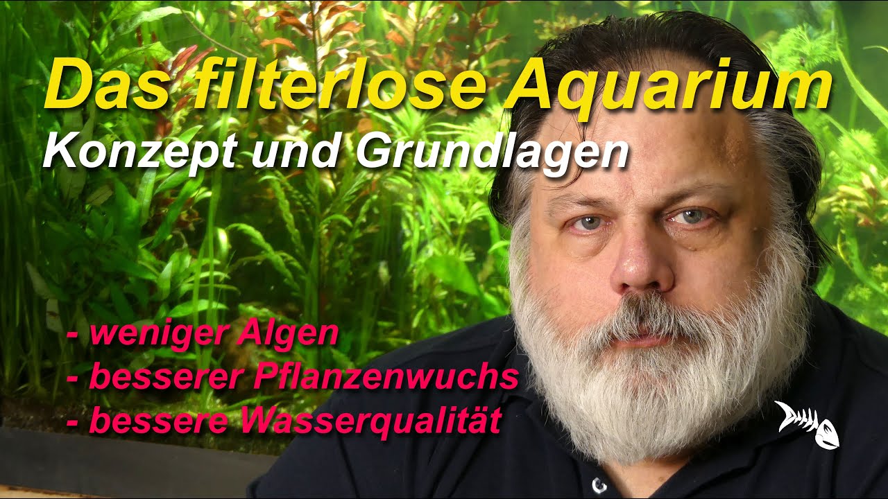 Das filterlose Aquarium, Grundlagen & Wirkungsweise - Konzept für weniger Probleme mit dem Aquarium