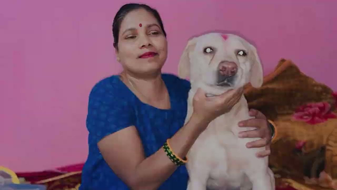 अपने अपने बच्चों का घरों में ध्यान रखें बाहर जाते हैं तभी ध्यान रखें 😳😮😥 #trending #kalyanisree002 