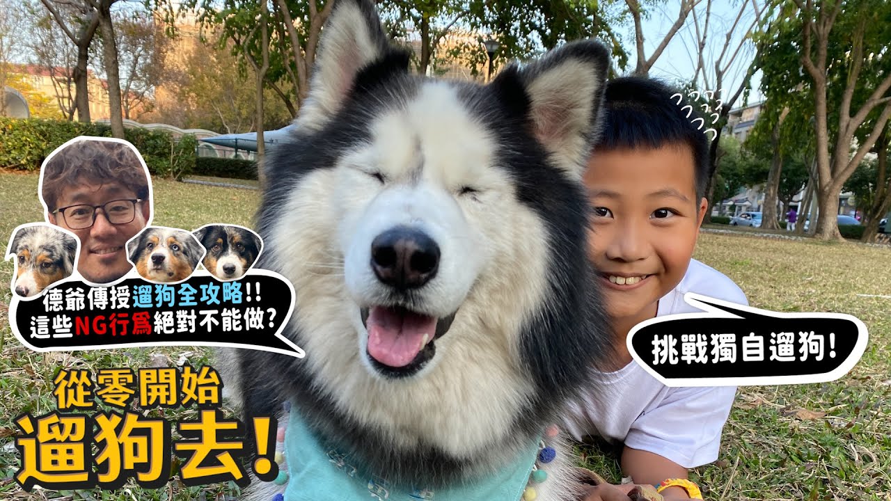 【從零開始遛狗】德爺遛許伯?遛狗手把手教學!這些NG行為絕對不能做?許軒獨自挑戰遛哈士奇!湖畔犬、鬆獅、巨大貴賓!好多品種狗!台中八大寵物公園!【許伯簡芝】