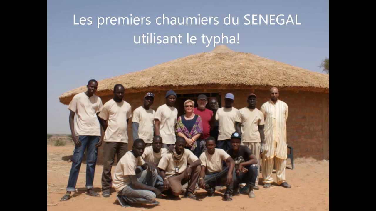 Toits de chaume en typha au SENEGAL