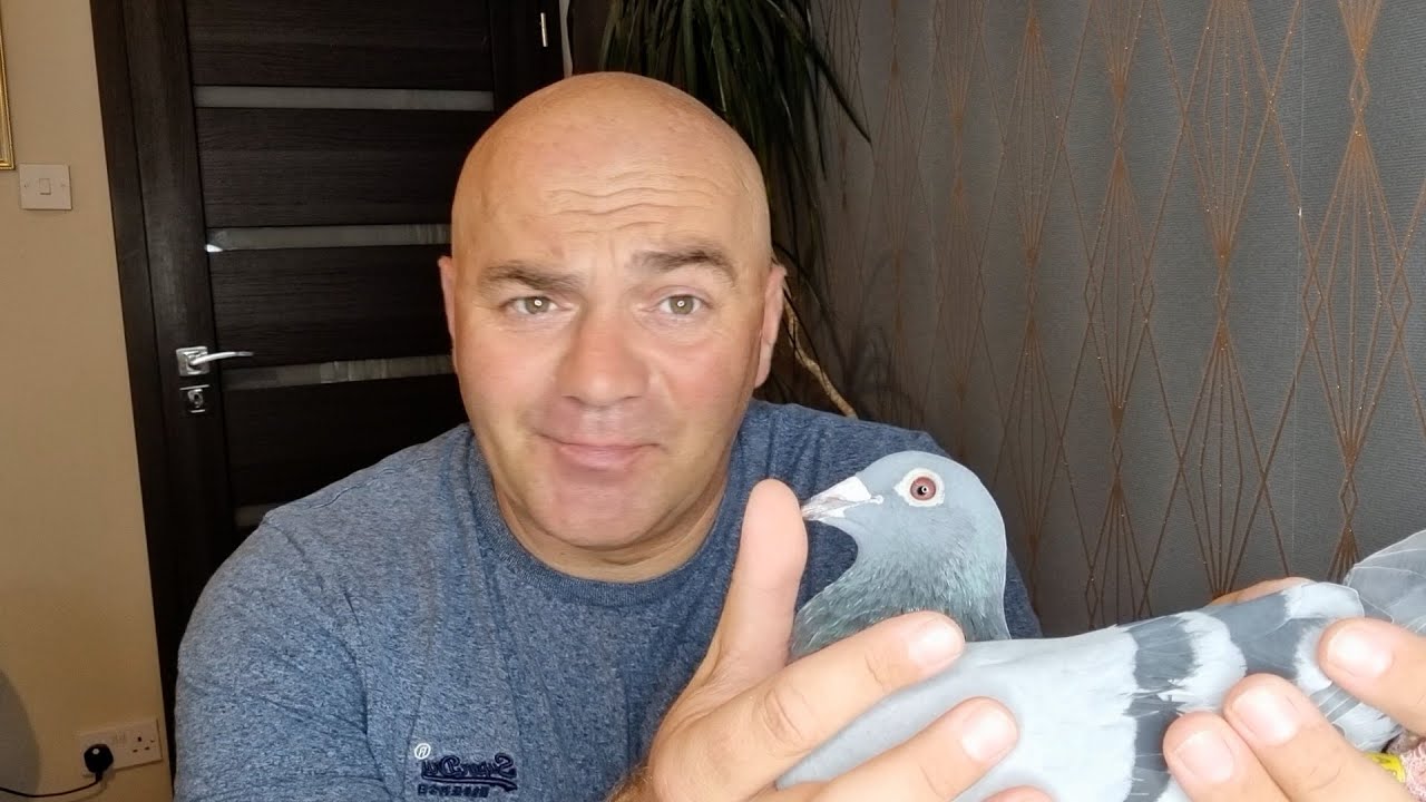 Karmienie na Loty 500km - upał i pod wiatr