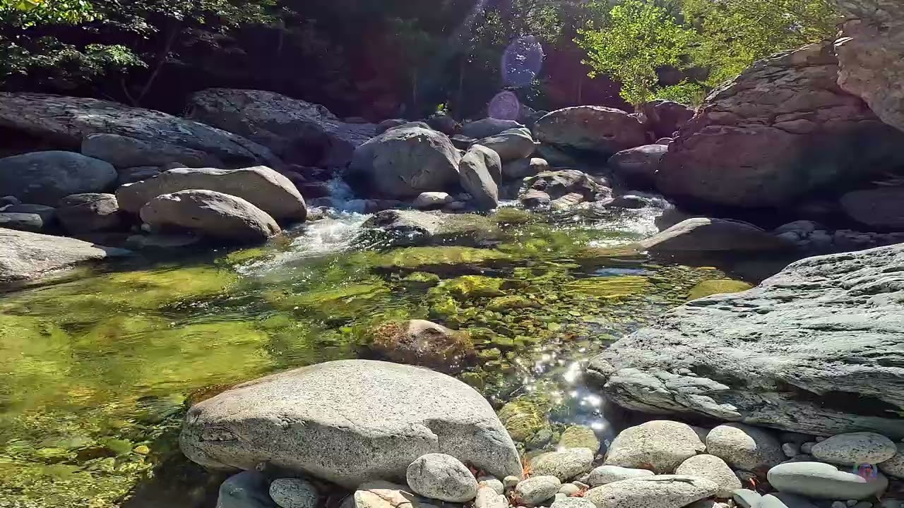 Au cœur de la montagne Corse au bord de la rivière (fleuve) Tavignano (tavignanu) a Corte