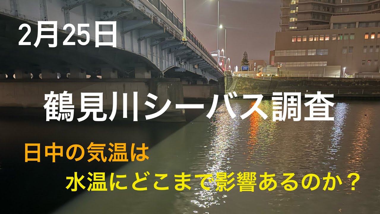 【鶴見川】2月25日鶴見川シーバス調査！日中の気温は影響あるのか⁉︎