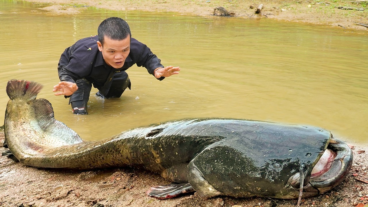 Dwarf Family Unexpectedly Discovers a Giant Catfish While Fishing | Primitive Life
