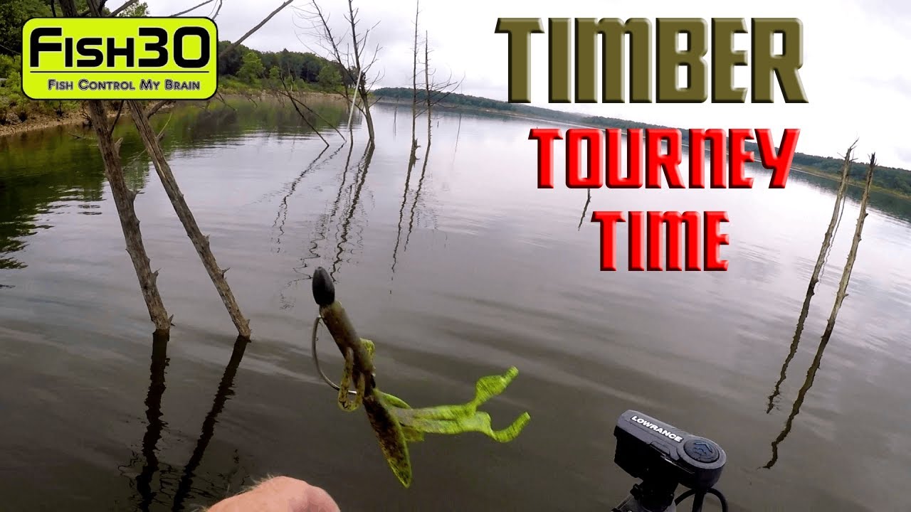 The Tree Bite has Started in the Average Joe Tourney on Truman Vlog