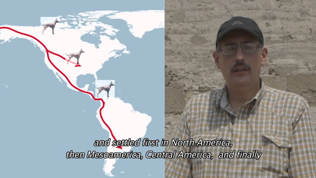 Trailer THE PERUVIAN HAIRLESS DOG - FILM - EN