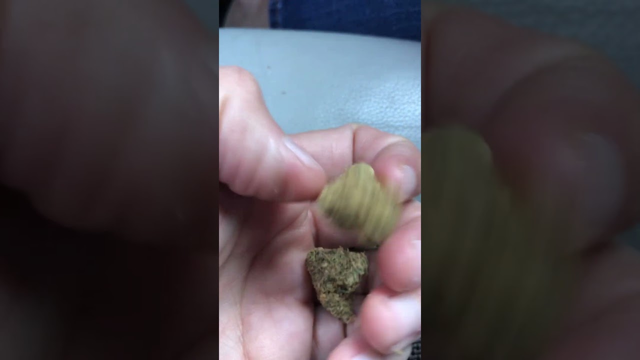Orange cookies strain