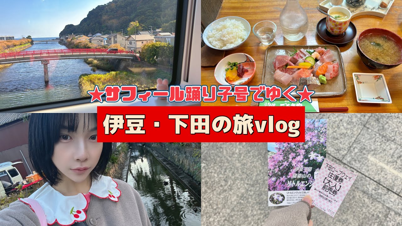 サフィール踊り子号でゆく★伊豆・下田の日帰り旅Vlog