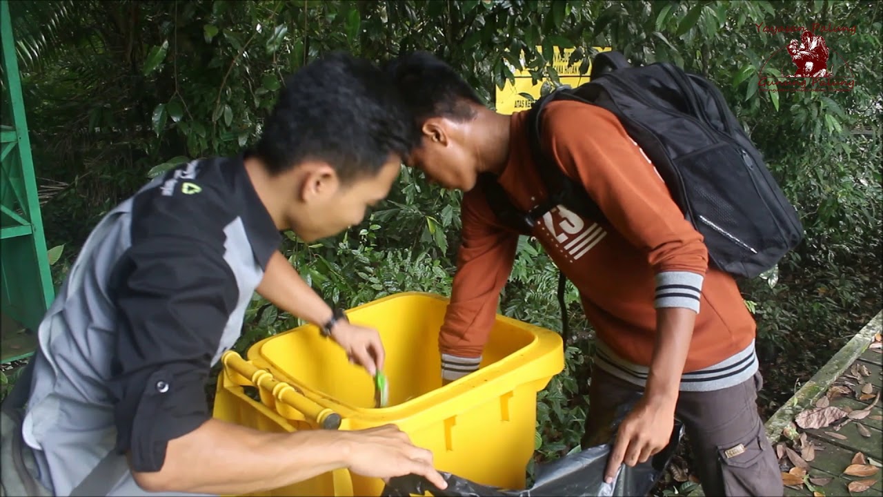 Yayasan Palung (YP) Rayakan Hari Bumi dengan Aksi Peduli Sampah