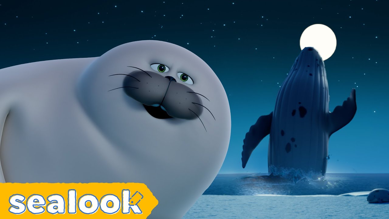 Whale ASMR🐋 until&hellip;ㅣSEALOOKㅣEP.52