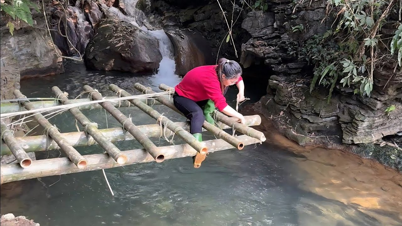 Building a Waterproof Shelter in the Tropical Rainforest | Survival
