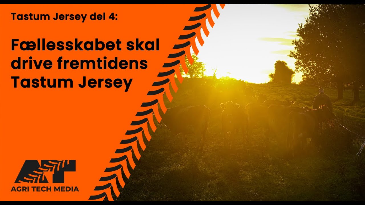 🇩🇰 Tastum Jersey del 4: Fællesskabet skal drive fremtidens Tastum Jersey